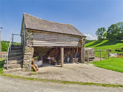 Picture 25